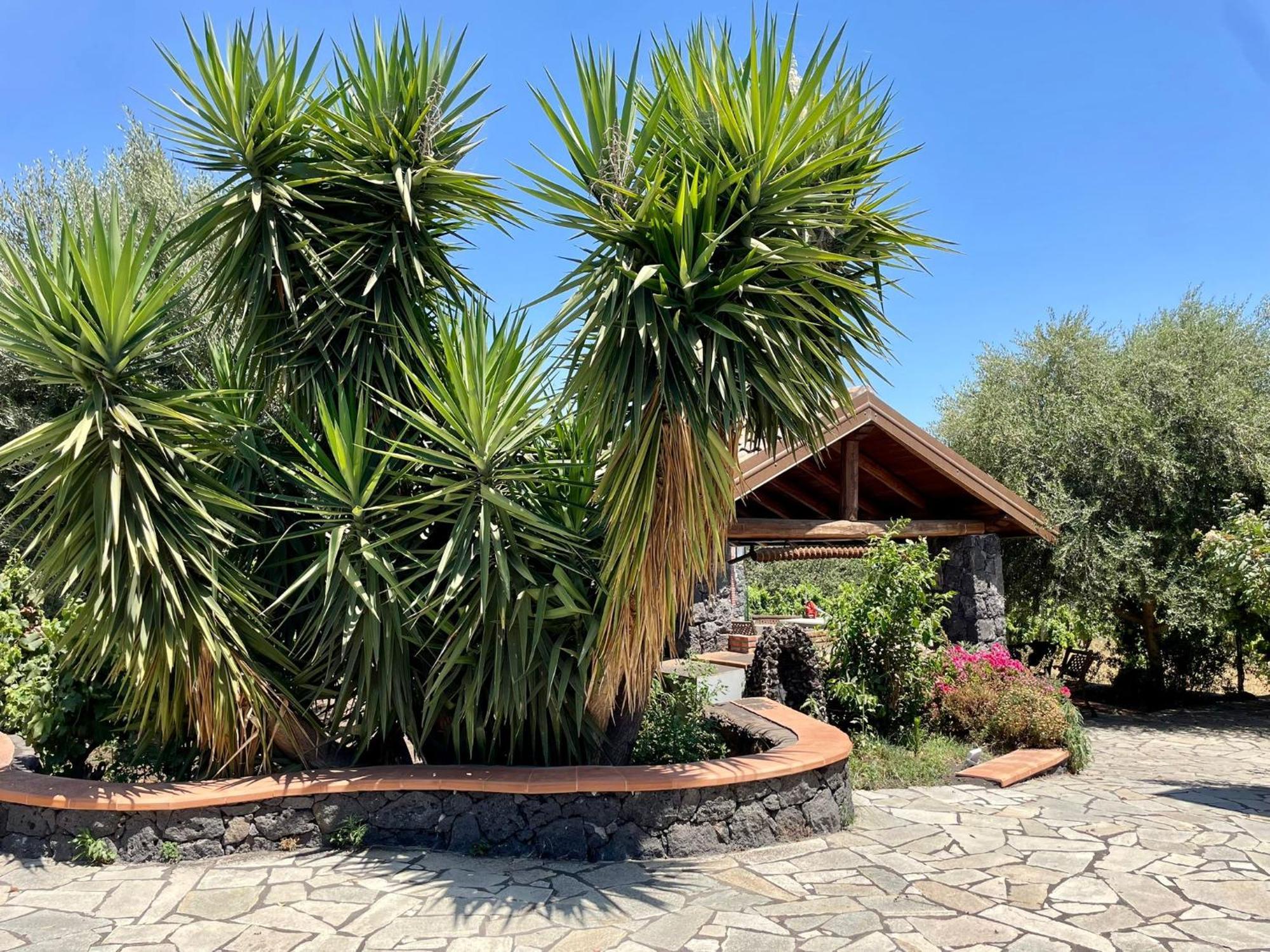 Maison Divaga Fleri Buitenkant foto